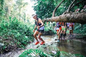 BIB: 
                            <button type="button" onclick="openModal(25464611)" class="btn btn-primary btn-sm float-right btn-popup" data-toggle="modal" data-target=".modal-high-quality">
                        <i class="fas fa-shopping-cart"></i> Add to Cart
                    </button>
                                            <button type="button" onclick="isThisMe(25464611, true)" class="btn btn-success btn-sm float-right btn-popup btn-isme hidden" data-toggle="tooltip" data-placement="bottom" title="นี่คือรูปของคุณใช่ไหม คลิกที่นี่เพื่อเอาเข้าอัลบั้ม">
                        <i class="fas fa-plus"></i> Add to album
                    </button>
                    <button type="button" onclick="isThisMe(25464611, false)" class="btn btn-warning btn-sm float-right btn-popup btn-isnotme hidden">
                        <i class="fas fa-ban"></i> Remove from album
                    </button>